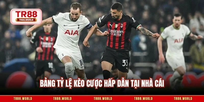 Bảng tỷ lệ kèo cược hấp dẫn tại nhà cái